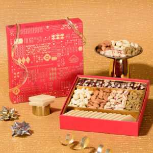 Holiday Special Dry Fruit Mithai Combo Medium