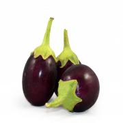 INDIAN EGGPLANT